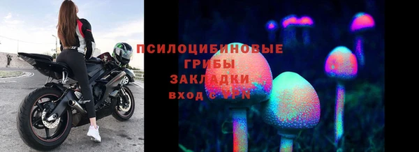 спиды Осташков