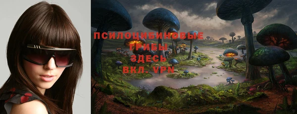 метадон Бородино